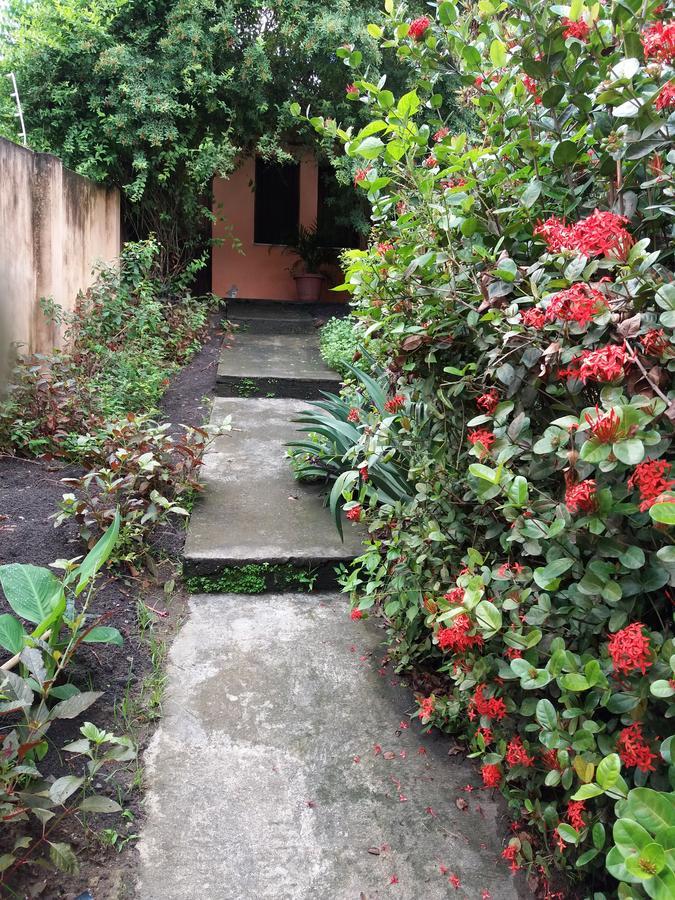 Pousada Labarca Cachoeira  Exteriér fotografie